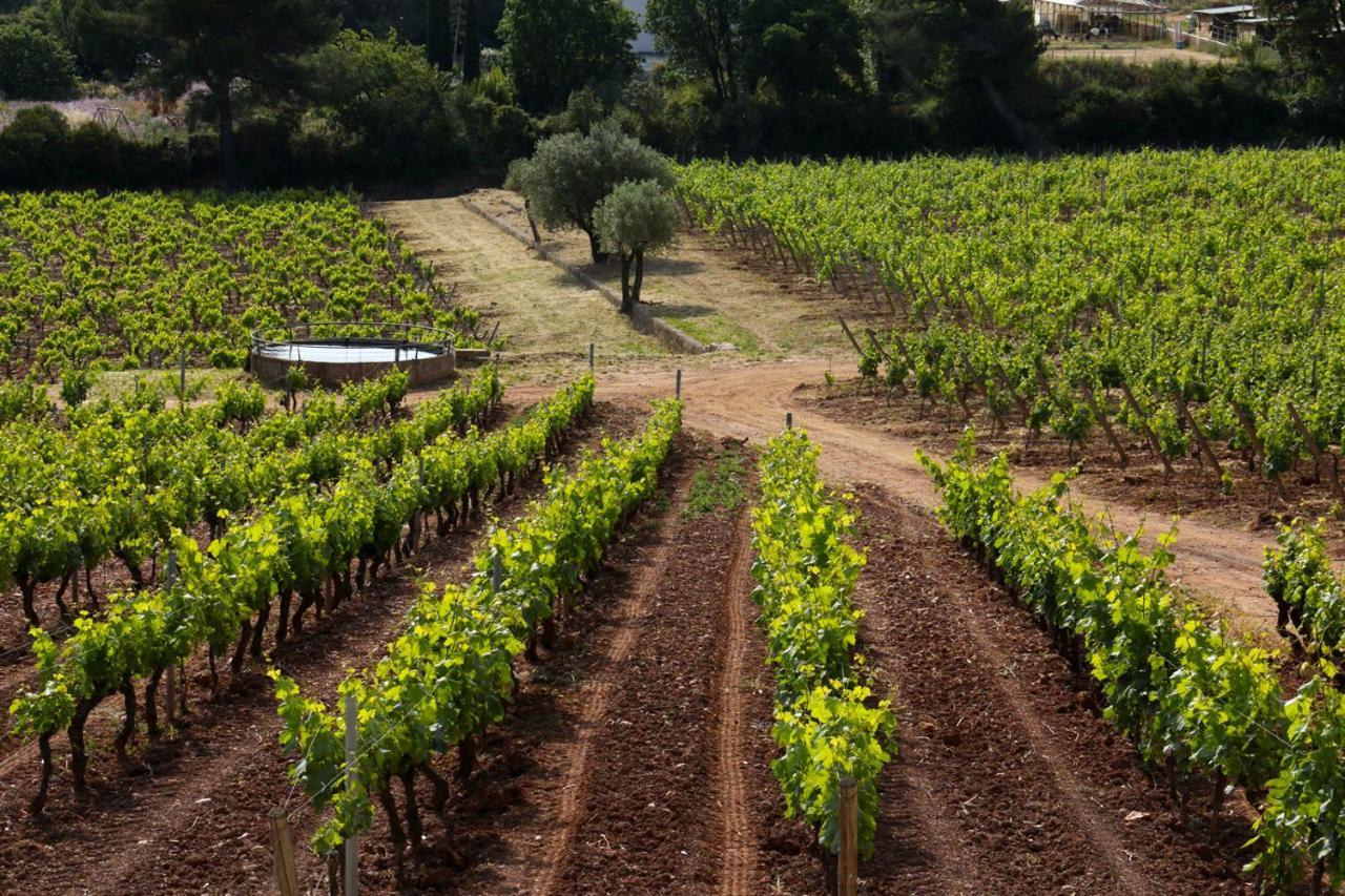 Vila Domaine De La Navicelle Le Pradet Exteriér fotografie