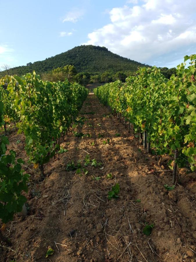 Vila Domaine De La Navicelle Le Pradet Exteriér fotografie